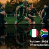 Autumn Series: Italy - South Africa