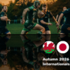 Autumn Series:  Wales - Japan