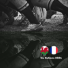 Six Nations: Wales - France